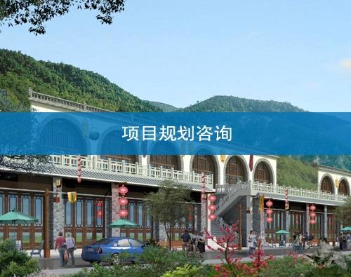 白銀項目規劃報告撰寫