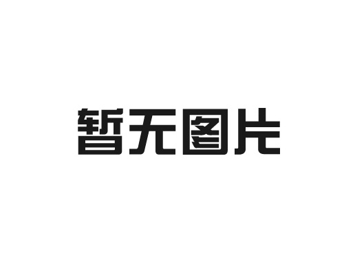 山東麥森年產1.2萬套新能源電動汽車用高性能電池產業化項目可研報告
